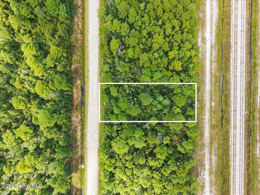 Build on this 0.37-acre wooded lot in Boiling Spring Lakes - Beach Lot for sale in Southport, North Carolina on Beachhouse.com