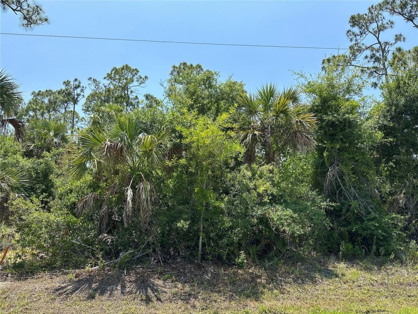 Experience the tranquility of this serene waterfront property - Beach Lot for sale in Punta Gorda, Florida on Beachhouse.com