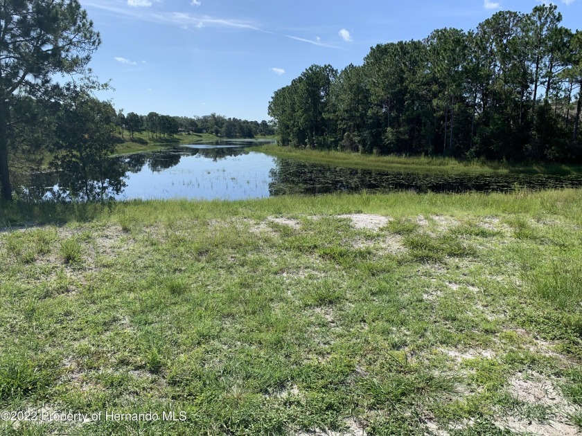 Rare opportunity to own this 1 acre, lake front, Multi-family - Beach Lot for sale in Spring Hill, Florida on Beachhouse.com