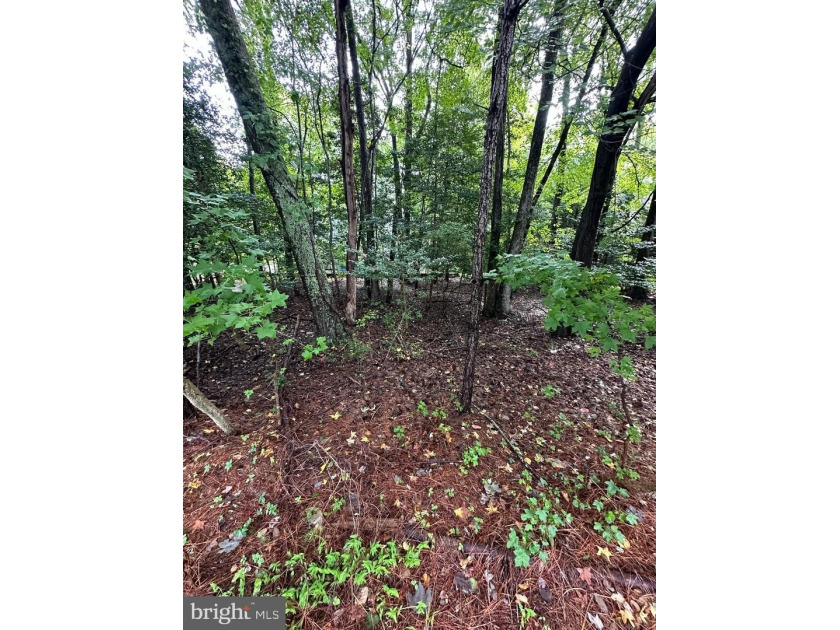 Beautiful, wooded lot with all the peace and tranquility that - Beach Lot for sale in Ocean Pines, Maryland on Beachhouse.com