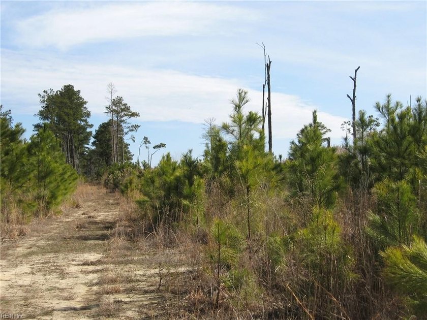 An Amazing Sound Front view with an 1800' of Canal frontage with - Beach Acreage for sale in Barco, North Carolina on Beachhouse.com