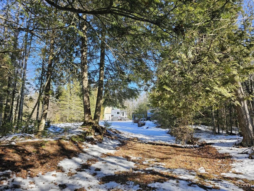 Escape to nature with this serene 40-acre parcel nestled among a - Beach Acreage for sale in Manistique, Michigan on Beachhouse.com