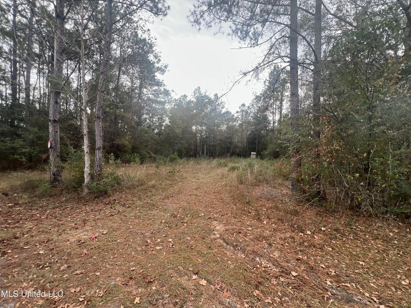 Here is your chance to own a waterfront lot on acreage!! This - Beach Lot for sale in Biloxi, Mississippi on Beachhouse.com