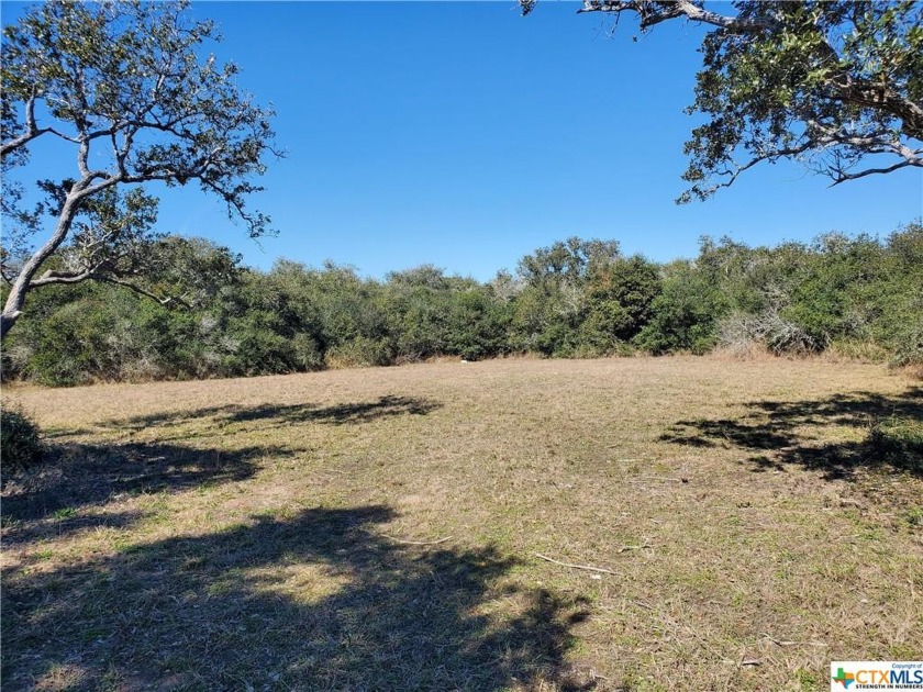 Corner lot (1.24 ac) with paved access, mature trees that *ring - Beach Lot for sale in Seadrift, Texas on Beachhouse.com