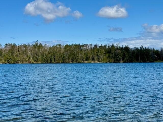 This beautiful sandy bottom Long Lake waterfront lot with 125' - Beach Lot for sale in Cheboygan, Michigan on Beachhouse.com