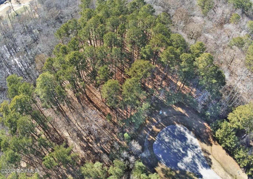 Large 1.5 acre cul-de-sac homesite in the beautiful, and highly - Beach Lot for sale in Hertford, North Carolina on Beachhouse.com