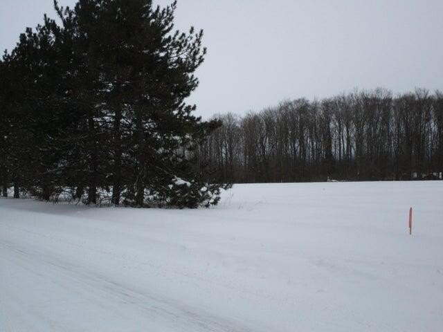 Looking for a nice buildable lot between Indian River and - Beach Acreage for sale in Alanson, Michigan on Beachhouse.com