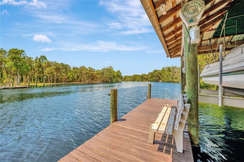A RARE WATERFRONT FLORIDA OASIS ON THE ALAFIA RIVER!

Welcome - Beach Home for sale in Riverview, Florida on Beachhouse.com