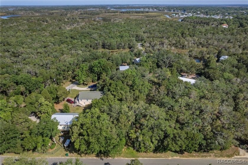 Welcome to your slice of paradise on Florida's Nature Coast! - Beach Lot for sale in Homosassa, Florida on Beachhouse.com