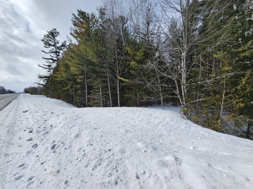 A well located property along N. Straits Highway, just minutes - Beach Lot for sale in Cheboygan, Michigan on Beachhouse.com