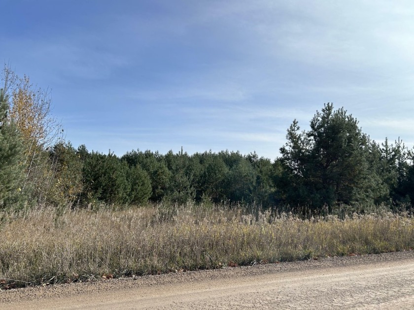 Want some cool acreage with all the privacy one could want? This - Beach Acreage for sale in Cheboygan, Michigan on Beachhouse.com