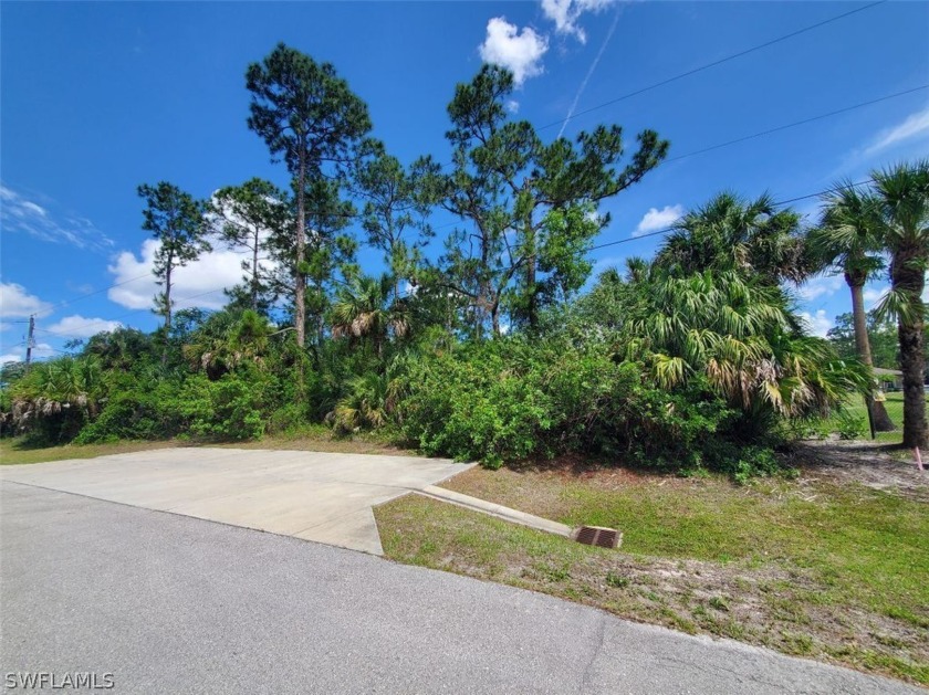 GREAT LOCATION!!! Perfect Land to build your dream home in - Beach Acreage for sale in Naples, Florida on Beachhouse.com