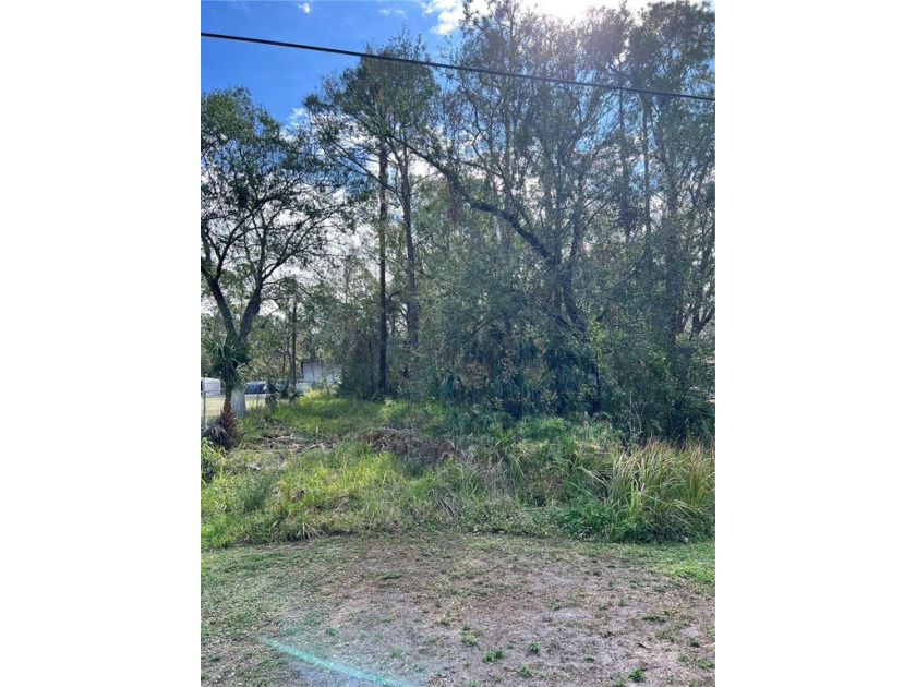 Under contract-accepting backup offers. This 50x250 wooded lot - Beach Lot for sale in Wimauma, Florida on Beachhouse.com