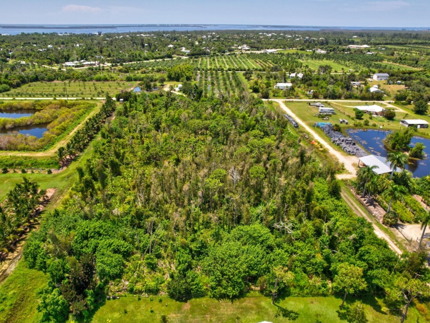 Pine Island tropical home site and farm is perfect for Indulging - Beach Acreage for sale in Bokeelia, Florida on Beachhouse.com