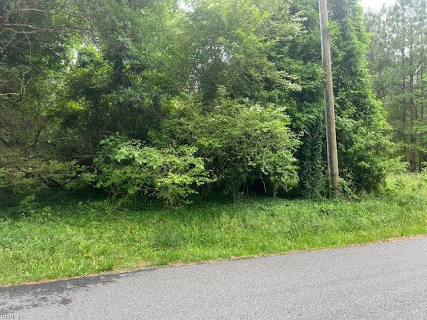 1-ac residential lot on Mansion Ave in Claremont town in Surry - Beach Lot for sale in Claremont, Virginia on Beachhouse.com