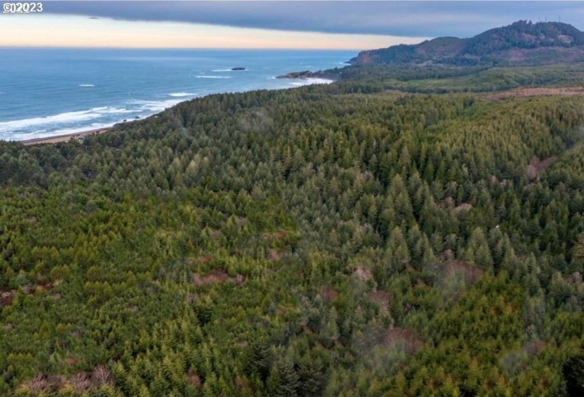 Great opportunity of a magnificent package features 3 parcels - Beach Acreage for sale in Newport, Oregon on Beachhouse.com