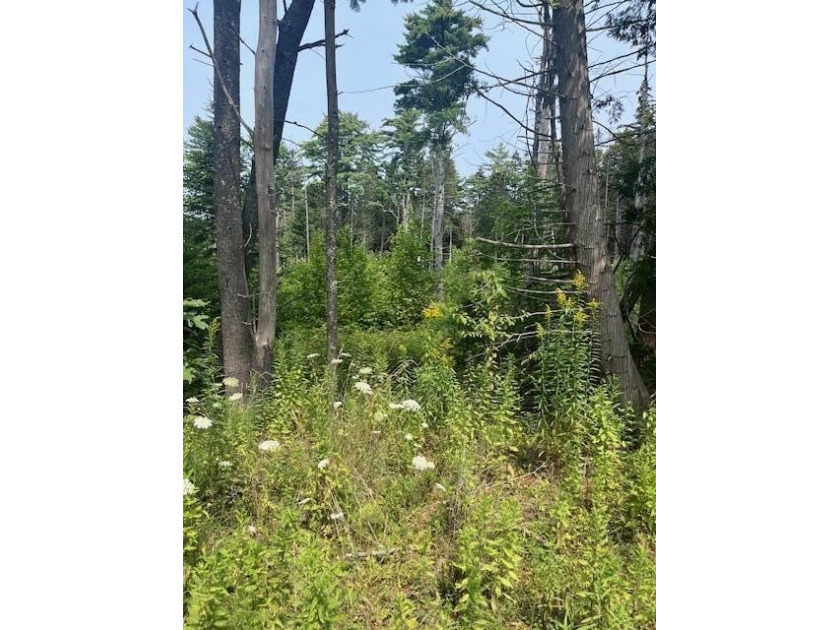 Lightly wooded, level lot, suitable for year-round or seasonal - Beach Lot for sale in Waldoboro, Maine on Beachhouse.com