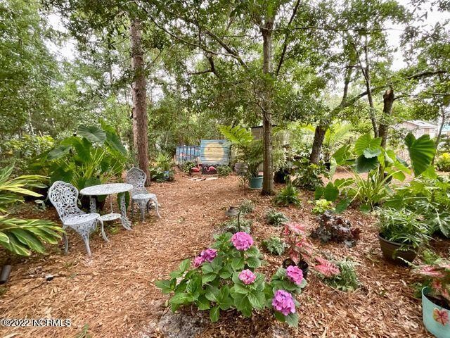 Beautiful one of a kind Tropical lot.  Purchase with the - Beach Lot for sale in Oak Island, North Carolina on Beachhouse.com