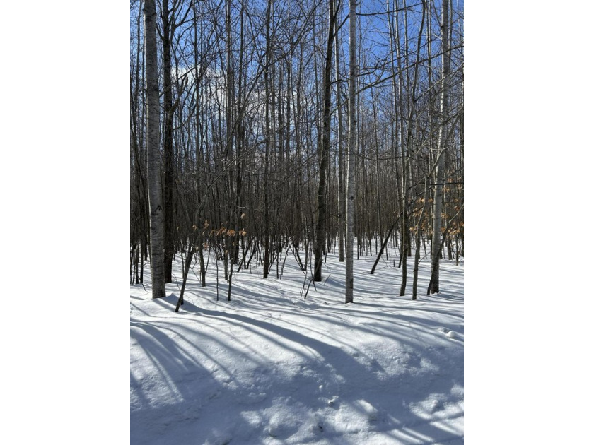 High & dry building site close to Mullett Lake on a county road - Beach Acreage for sale in Cheboygan, Michigan on Beachhouse.com