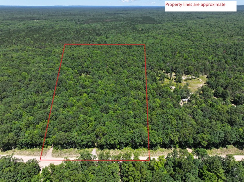 This Beautiful 10+ acre parcel is the perfect location to build - Beach Acreage for sale in Free Soil, Michigan on Beachhouse.com