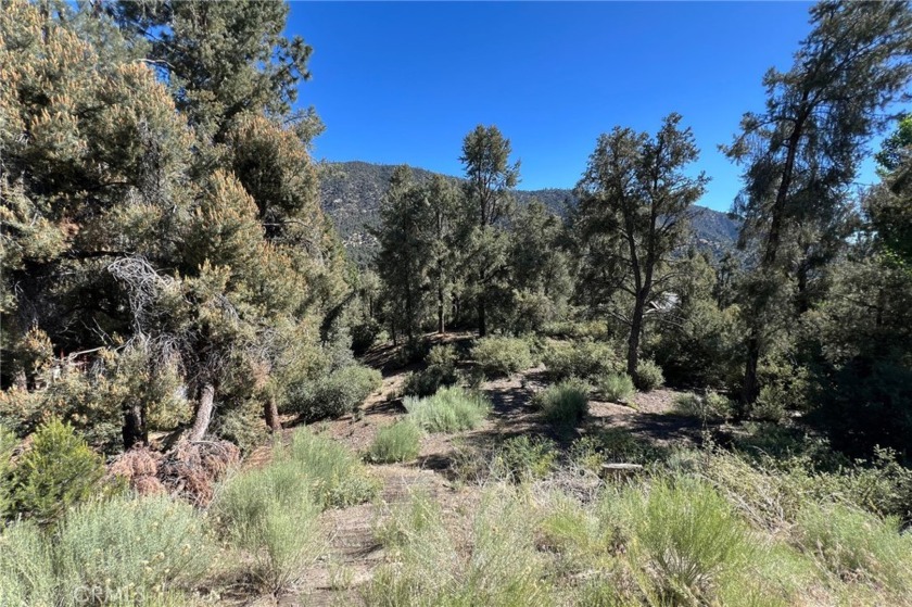 Discover the perfect spot to build your dream home at 2426 - Beach Lot for sale in Pine Mountain Club, California on Beachhouse.com