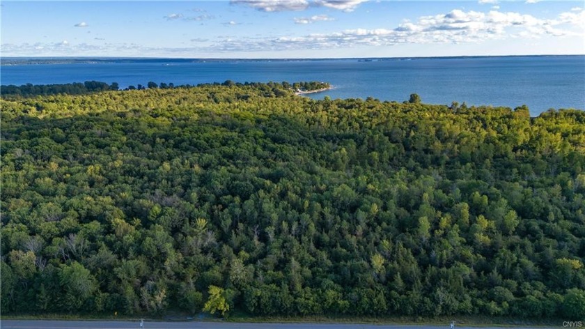 There is opportunity with this fantastic 12.71 Acre wooded lot - Beach Acreage for sale in Brownville, New York on Beachhouse.com
