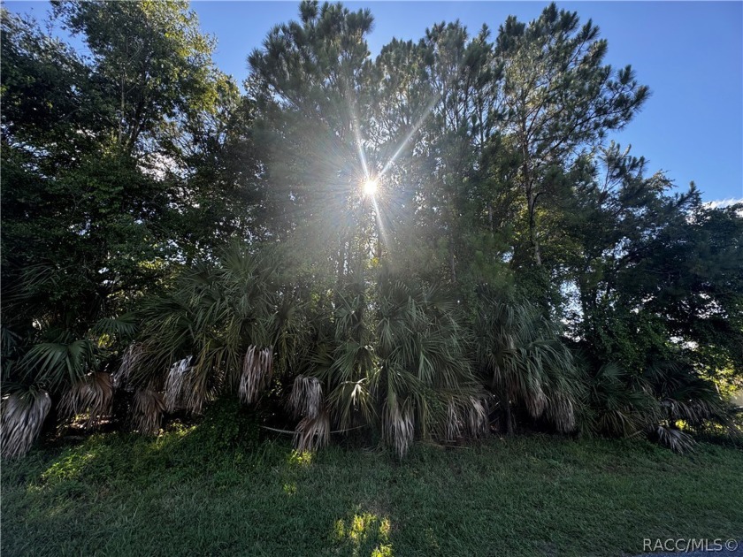 Nestled in a serene locale adjacent to the breathtaking - Beach Lot for sale in Crystal River, Florida on Beachhouse.com