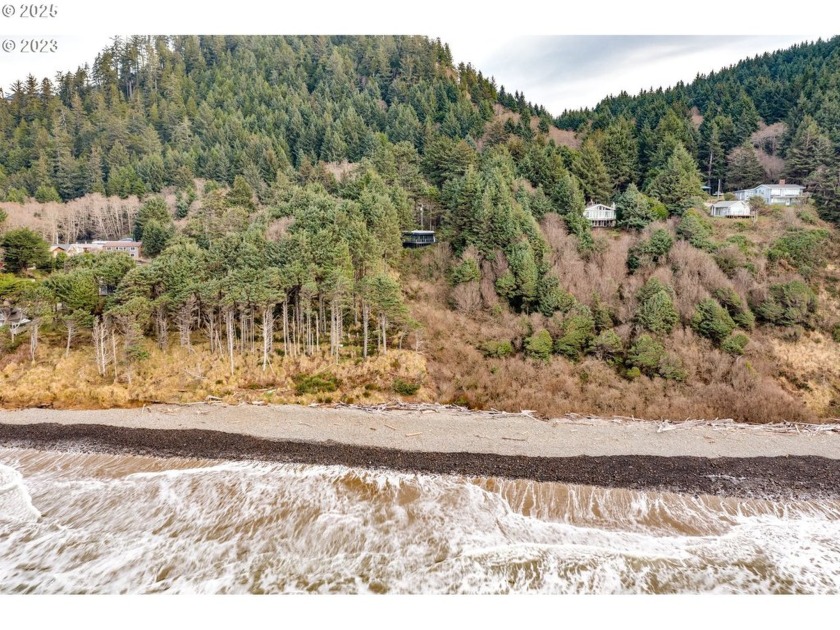 Build your dream home on this ocean front 16,000+ square foot - Beach Lot for sale in Arch Cape, Oregon on Beachhouse.com