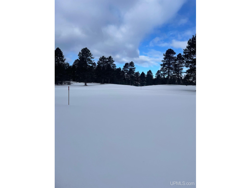 120 acres adjacent to Chocolay Downs Golf Course.  Build your - Beach Acreage for sale in Marquette, Michigan on Beachhouse.com