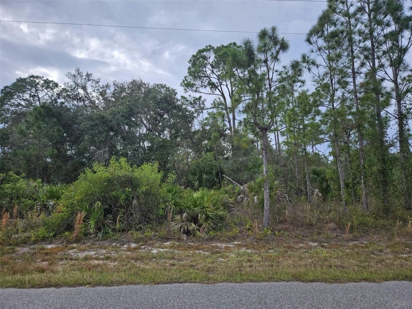 Welcome to paradise!! Build your house on this lot with the - Beach Lot for sale in Port Charlotte, Florida on Beachhouse.com