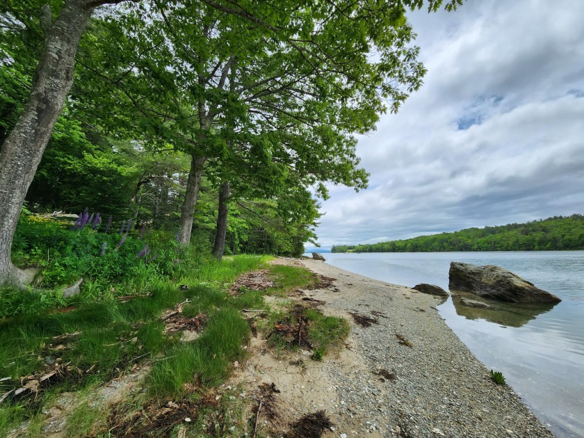 Imagine building your dream home on this private, surveyed - Beach Acreage for sale in Surry, Maine on Beachhouse.com