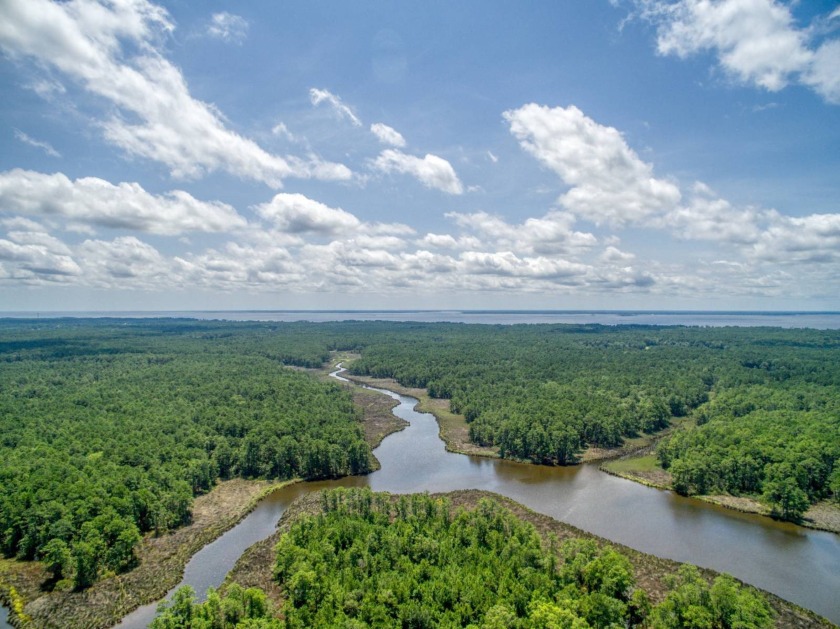 Room to grow on this spacious waterfront lot located in the - Beach Acreage for sale in Belhaven, North Carolina on Beachhouse.com