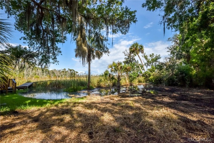 Discover the perfect canvas for your dream home on this premier - Beach Lot for sale in Crystal River, Florida on Beachhouse.com