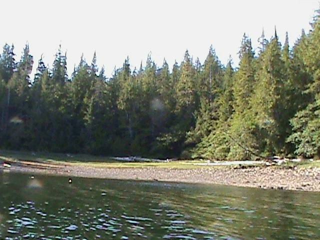 Nearly 3 acres of beautiful remote waterfront property in - Beach Acreage for sale in Wrangell, Alaska on Beachhouse.com