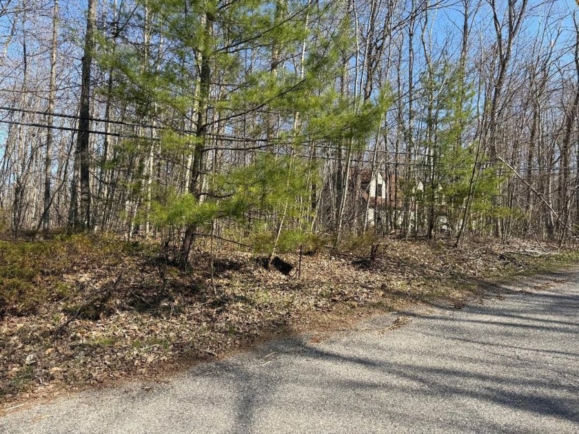 BEAUTIFUL PARCEL FOR SALE IN CORDWOOD POINT. Shared private - Beach Lot for sale in Cheboygan, Michigan on Beachhouse.com