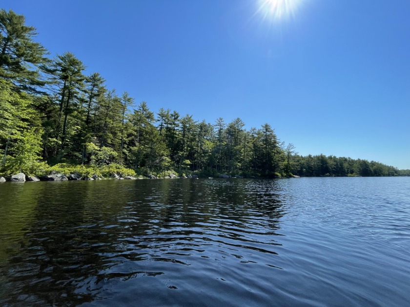 Located on Upper Patten Pond in Orland, this 6-acre parcel has - Beach Acreage for sale in Orland, Maine on Beachhouse.com