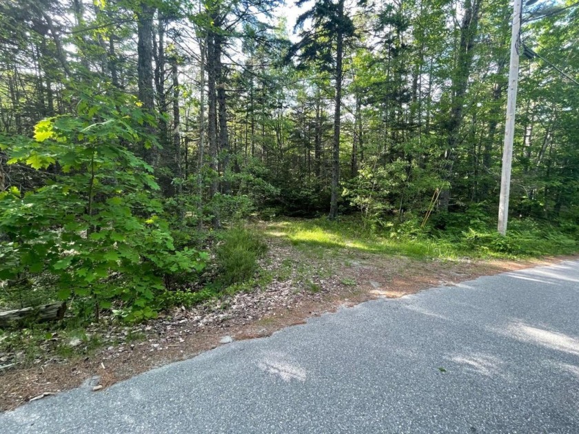 Nestled within the serene village of Round Pond, discover this - Beach Lot for sale in Bristol, Maine on Beachhouse.com