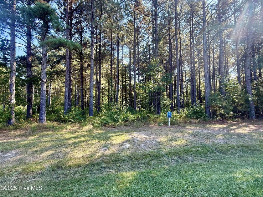 Discover the perfect place to build your dream home in - Beach Lot for sale in Edenton, North Carolina on Beachhouse.com