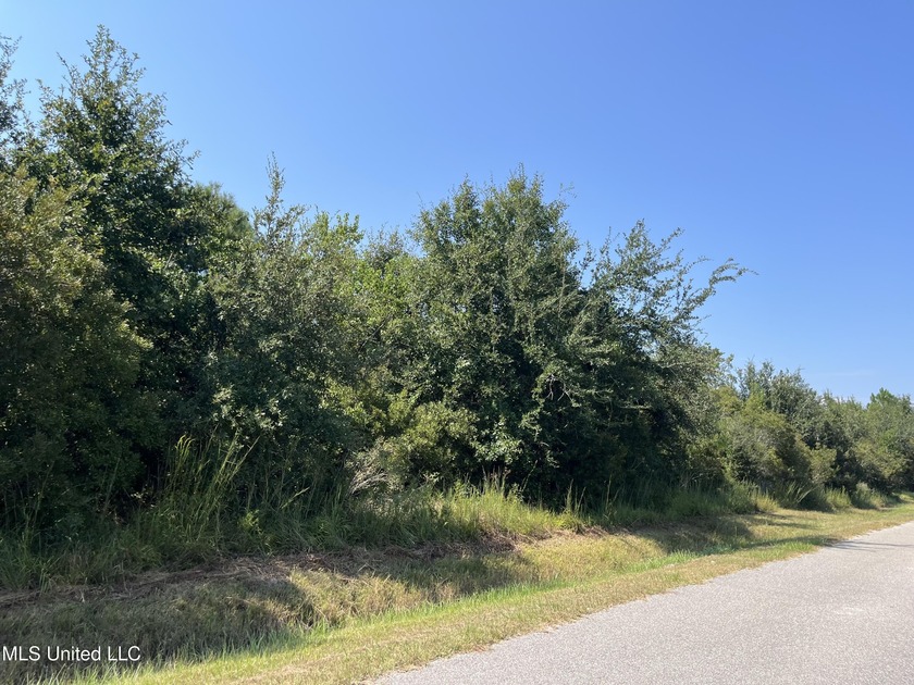 Opportunity to acquire land in Bay St. Louis zoned A-2, allowing - Beach Lot for sale in Bay Saint Louis, Mississippi on Beachhouse.com