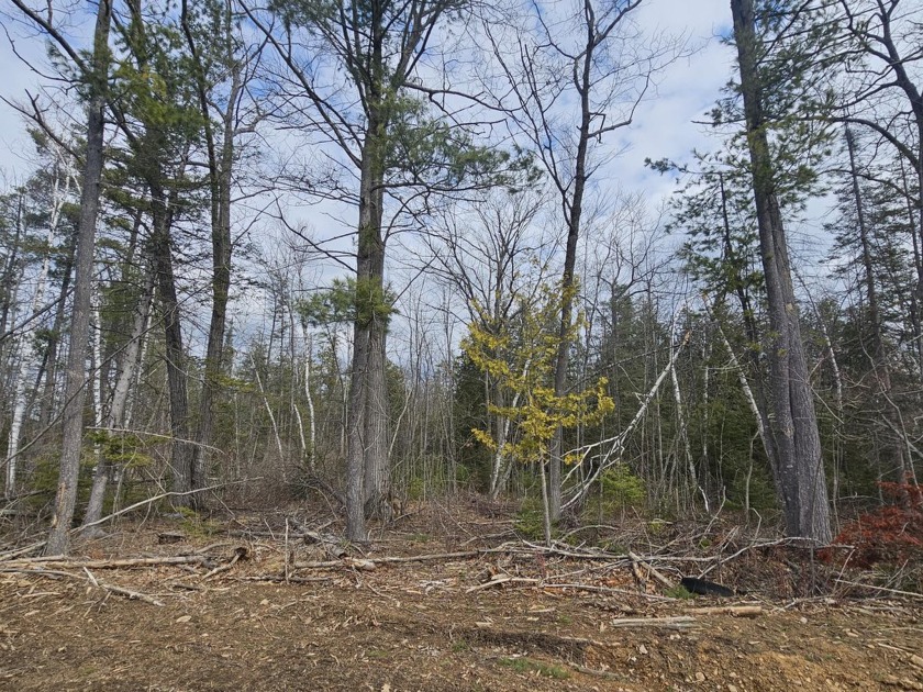 Discover the perfect blend of seclusion and convenience with - Beach Acreage for sale in Alpena, Michigan on Beachhouse.com