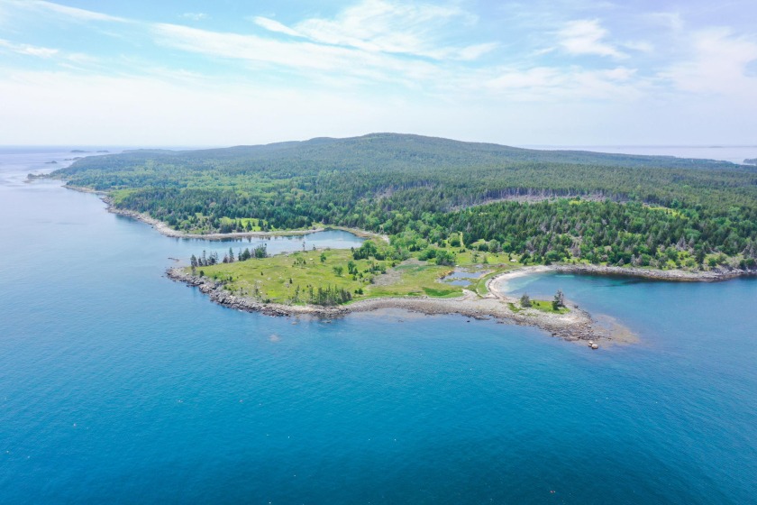 Spectacular Rich's Point is a 92 acre +/- Oceanfront oasis with - Beach Acreage for sale in Isle Au Haut, Maine on Beachhouse.com
