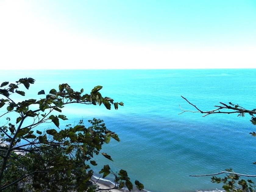 Your dream home awaits! This 2 Acre lot has 230 feet of private - Beach Acreage for sale in Benton Harbor, Michigan on Beachhouse.com