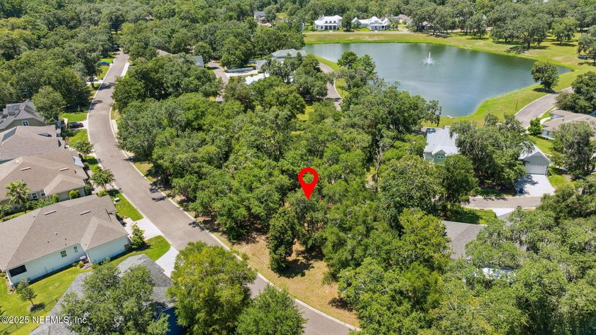 If you haven't seen Waterman's Bluff, then you're missing one of - Beach Lot for sale in Yulee, Florida on Beachhouse.com