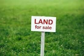 Beautiful wooded lot, close the white sands of Lake Michigan - Beach Lot for sale in Gary, Indiana on Beachhouse.com