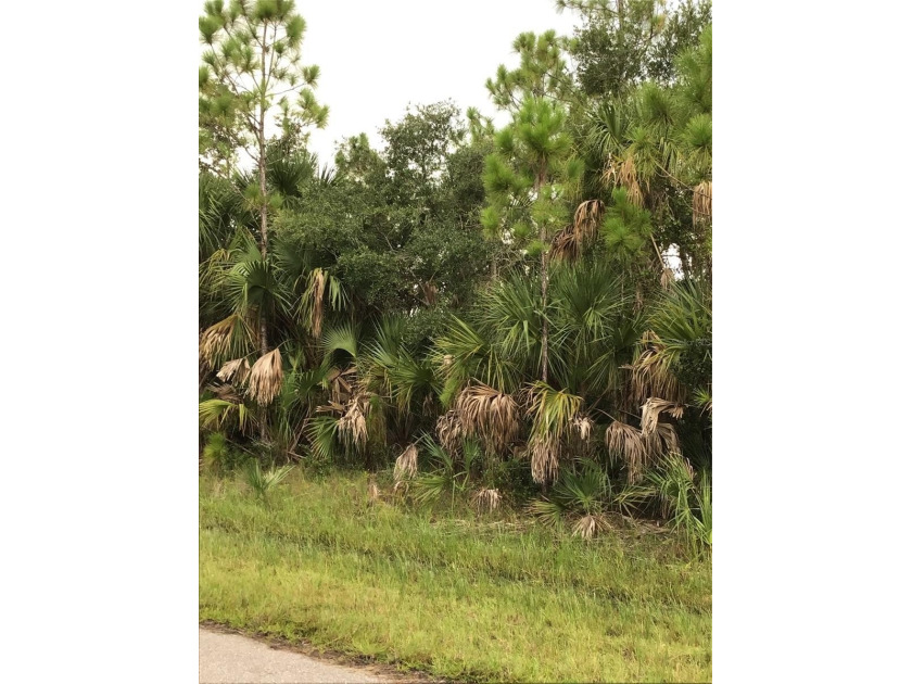 Don't miss this rarely available homesite consisting of 4 - Beach Lot for sale in Port Charlotte, Florida on Beachhouse.com