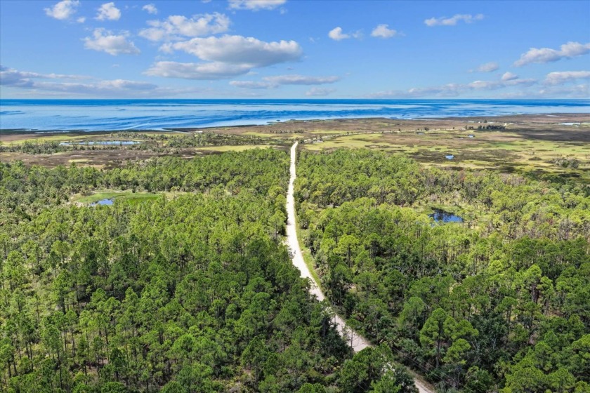 This expansive 81.58-acre property offers a unique blend of - Beach Acreage for sale in Perry, Florida on Beachhouse.com