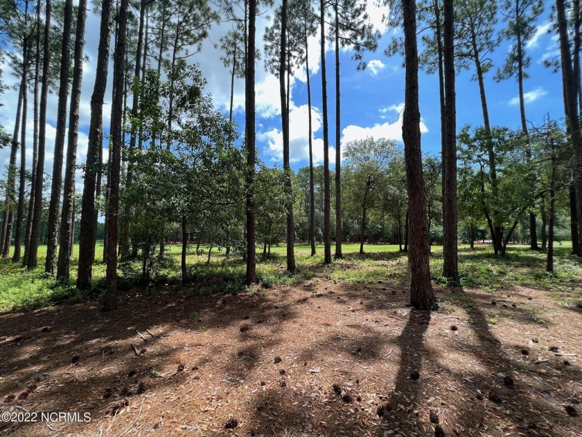 Over 100ft wide, this beautiful homesite at 3694 Bridgewater - Beach Lot for sale in Southport, North Carolina on Beachhouse.com