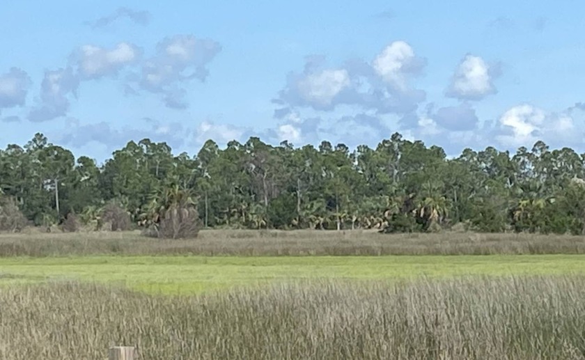 Located just 0.55 miles from the Yates Creek Boat Ramp, this 10 - Beach Acreage for sale in Perry, Florida on Beachhouse.com