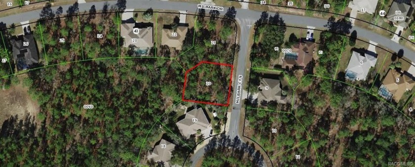 Lot for building your dream home & pool.  There are high-end - Beach Lot for sale in Homosassa, Florida on Beachhouse.com