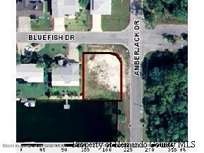 Waterfront corner lot with access to the Gulf of Mexico located - Beach Lot for sale in Hernando Beach, Florida on Beachhouse.com
